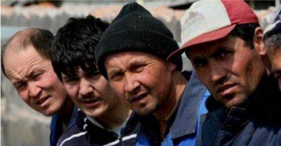 Человеческие условия: что предлагает российский рынок труда таджикским гражданам?