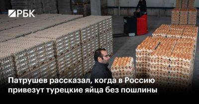 Патрушев рассказал, когда в Россию привезут турецкие яйца без пошлины