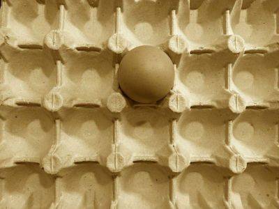 «Цены по-прежнему растут»: в Минсельхозе признали, что так и не решили проблему с яйцами
