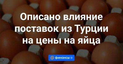 Владимир Путин - Дмитрий Патрушев - Описано влияние поставок из Турции на цены на яйца - smartmoney.one - Россия - Турция - Азербайджан