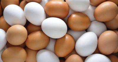 БАРТОШ прокомментировал ситуацию с поставкой яиц в Россию: приоритет — внутренний рынок