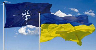 Михеев: Запад в любом случае будет навязывать Украине участие в НАТО