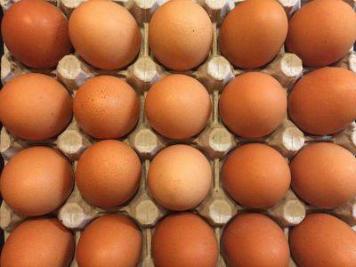 РФ готовится начать импорт яиц из Ирана