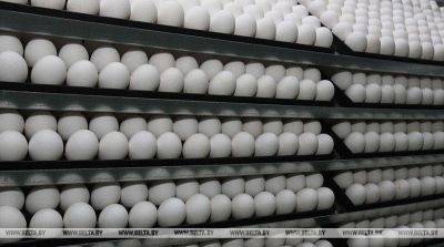 Совет ЕЭК предоставил временную тарифную льготу для стабилизации ситуации на рынке куриных яиц в РФ