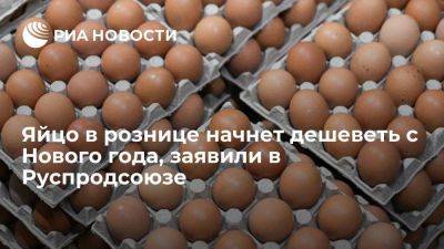 Руспродсоюз ожидает снижение цен на яйца после Нового года