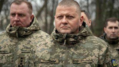 Валерий Залужный - Залужный о контрнаступлении в 2024 году - видео заявления - apostrophe.ua - Украина - Германия - Планы