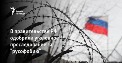В правительстве РФ одобрили уголовное преследование за "русофобию"