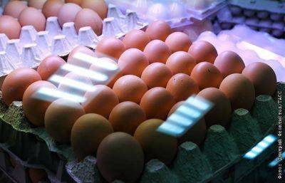 Ритейлерам предложили ограничить наценки на яйца по долгосрочным договорам