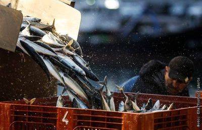 Александр Панин - Рыбный союз предложил обнулить пошлины на импорт в Россию некоторых видов рыбы - smartmoney.one - Москва - Россия