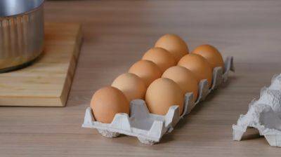 Можно ли куриные яйца есть перед сном: те, кто худеет, будут поражены до глубины души
