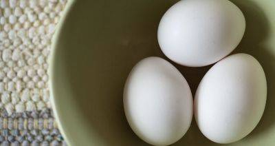 Совет ЕЭК предоставил временную тарифную льготу для стабилизации ситуации на рынке куриных яиц