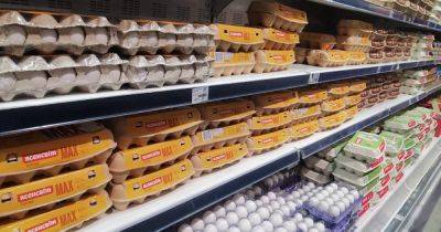 Дорогие и в дефиците: РФ из-за нехватки яиц начинает импорт из Ирана и Турции, — росСМИ