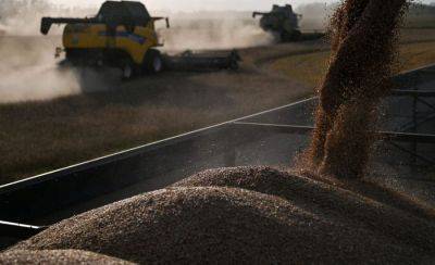 Не подрывайте нашу экономику! Ассоциация просит не запрещать транзит российского зерна через Латвию