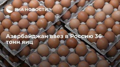 В Россию ввезли первую партию азербайджанских яиц — 36 тонн