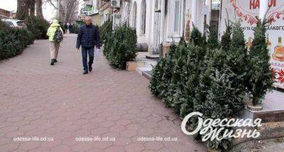 Прогноз погоды в Одессе 20 декабря 2023 года | Новости Одессы