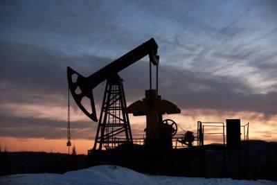 США стремятся к 2030 году вдвое сократить доходы рф от нефти и газа