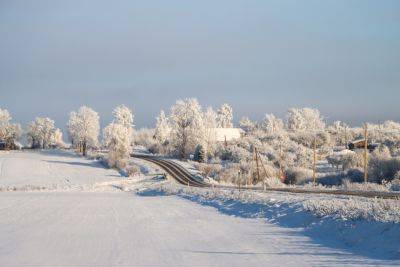 Сильные морозы в Украине в декабре - прогноз синоптика, когда будет холодно
