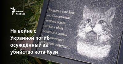 На войне с Украиной погиб осуждённый за убийство кота Кузи
