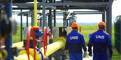 Сомнительное решение. Одна из крупнейших газодобывающих компаний Украины останавливает добычу по требованию суда