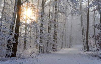 Погода в Украине 3 декабря – где будет снег в воскресенье – карты