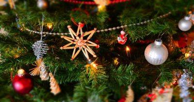 Никогда так не делайте: эксперт поделилась секретами, как правильно украшать рождественскую елку
