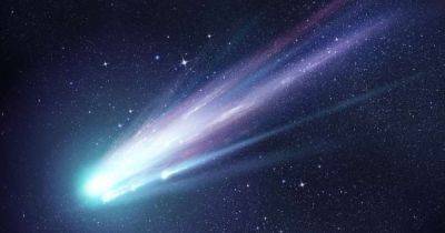 Все, что нужно знать о звездной величине: ученые объяснили, как можно увидеть очередную комету - focus.ua - Украина