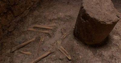Кости без анатомической связи. Археологи обнаружили тайные захоронения в древнем городе майя