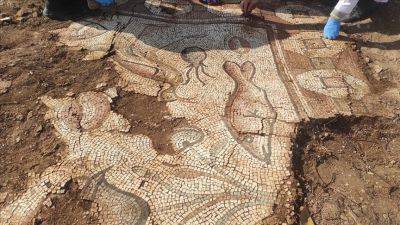 Археологи нашли в Турции уникальную мозаику римской эпохи - фото