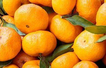 Путь мандарина: как везут в Беларусь самый новогодний фрукт