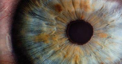 Самая бесполезная способность в мире: врач рассказал об уникальной особенности наших глаз