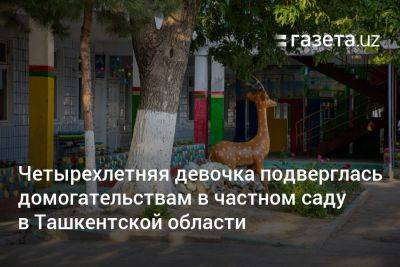 Четырёхлетняя девочка подверглась домогательствам в частном саду в Ташкентской области