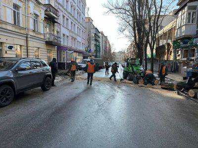 В Харькове дерево упало на проезжую часть (фото)
