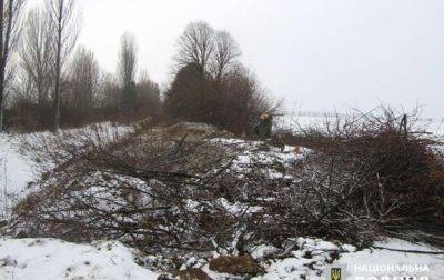 Срезали 348 деревьев: в Киевской области объявлено подозрение двум "черным лесорубам"
