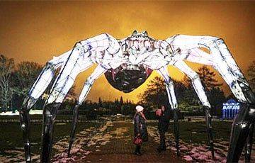 В Минске появился огромный светящийся паук