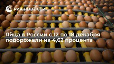 Росстат: яйца в России с 12 по 18 декабря подорожали на 4,62% - smartmoney.one - Россия - Чукотка - Тульская обл.
