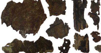 Геродот не ошибался: ученые обнаружили, что скифы делали колчаны из человеческой кожи (фото)
