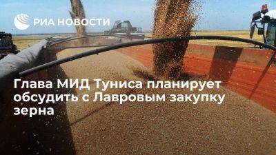 Глава МИД Туниса планирует обсудить с Лавровым тему закупки зерна из России