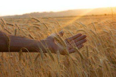 Сергей Лавров - Лавров заявил, что Россия готова нарастить объемы экспорта зерна в Тунис - smartmoney.one - Россия - Тунис - Тунисская Респ. - Марокко