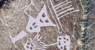 Кошачьи и антропоморфные фигуры: в Перу археологи нашли почти 30 новых геоглифов (фото)
