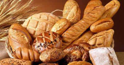 Какой хлеб лучше выбрать: разницу между белым и цельнозерновым объяснили ученые