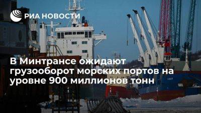 Минтранс: грузооборот морских портов РФ ожидается на уровне 900 млн тонн