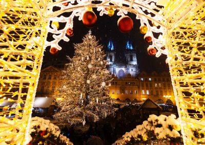 Анимацию на главной елке Праги отключили на два дня в знак скорби по жертвам стрельбы