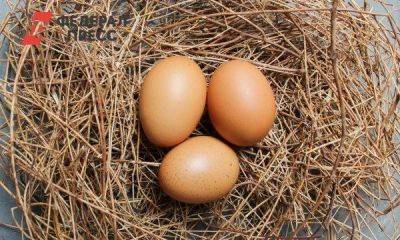 Россиянам заявили, что с высокими ценами на яйца придется смириться