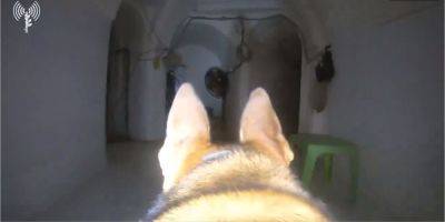 ЦАХАЛ опубликовал видео, снятое собакой в обширной сети туннелей ХАМАС