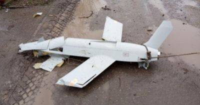 UJ-25 Skyline могли атаковать Брянщину и Подсмосковье: что известно о дронах, сбитых в РФ
