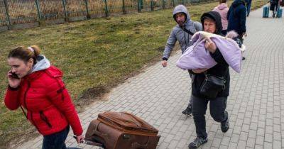 "Потом приедут, как ни в чем не бывало": у Зеленского поддержали мобилизацию беженцев (видео)