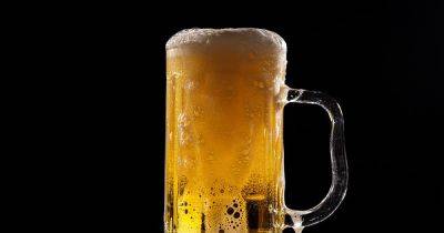 Подсчитана идеальная порция пива: ученые выяснили, сколько можно пить без вреда здоровью - focus.ua - Украина