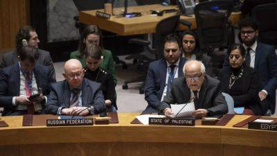 Резолюция СБ ООН: "беззубая" или "единственно возможная"?