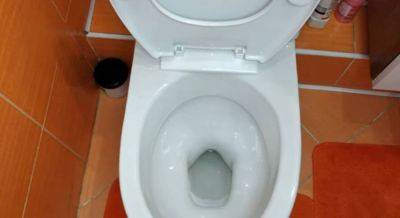 Как избавиться от неприятного запаха в туалете: поможет подручное средство