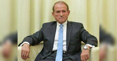 Медведчук становится главным владельцем крупного бизнеса на оккупированных территориях, — СМИ